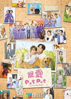 谮Pet Pet