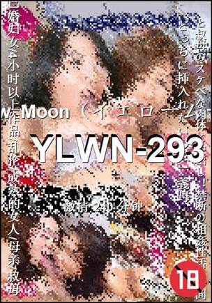 YLWN-293torrent