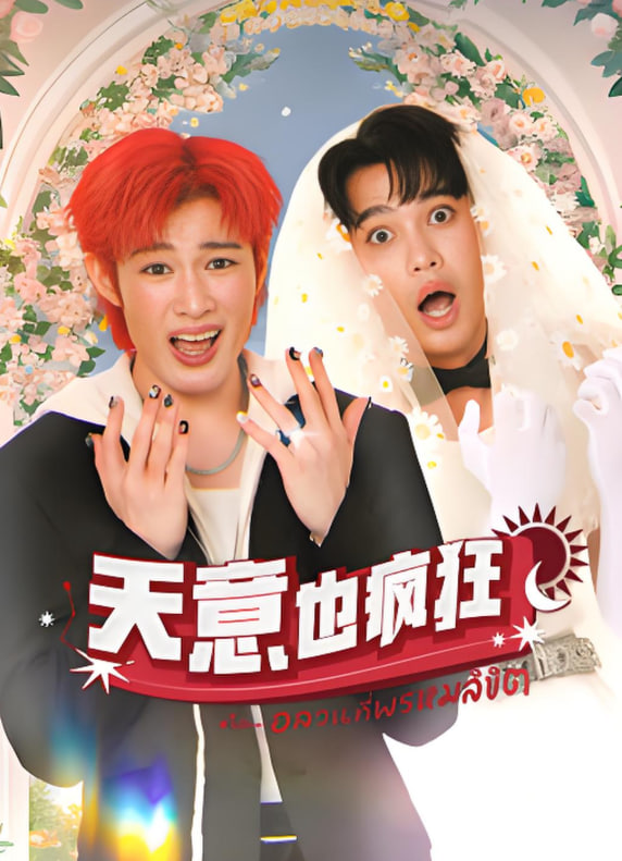 ����Ҳ���