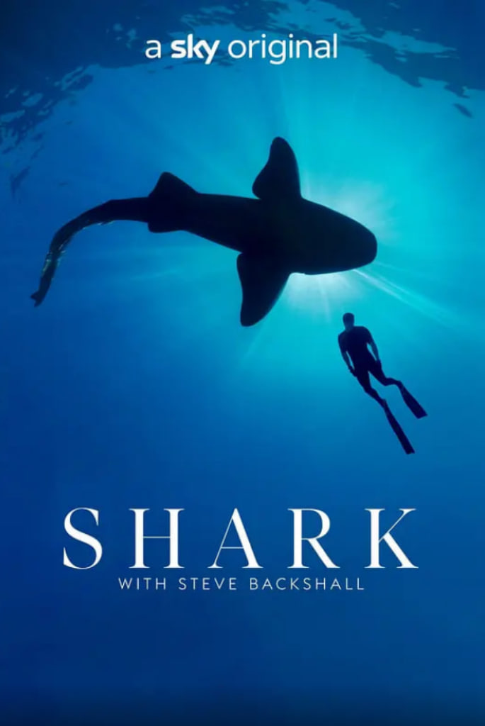 ���蹲���һ��