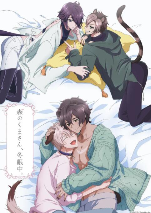 ɭ�����������������