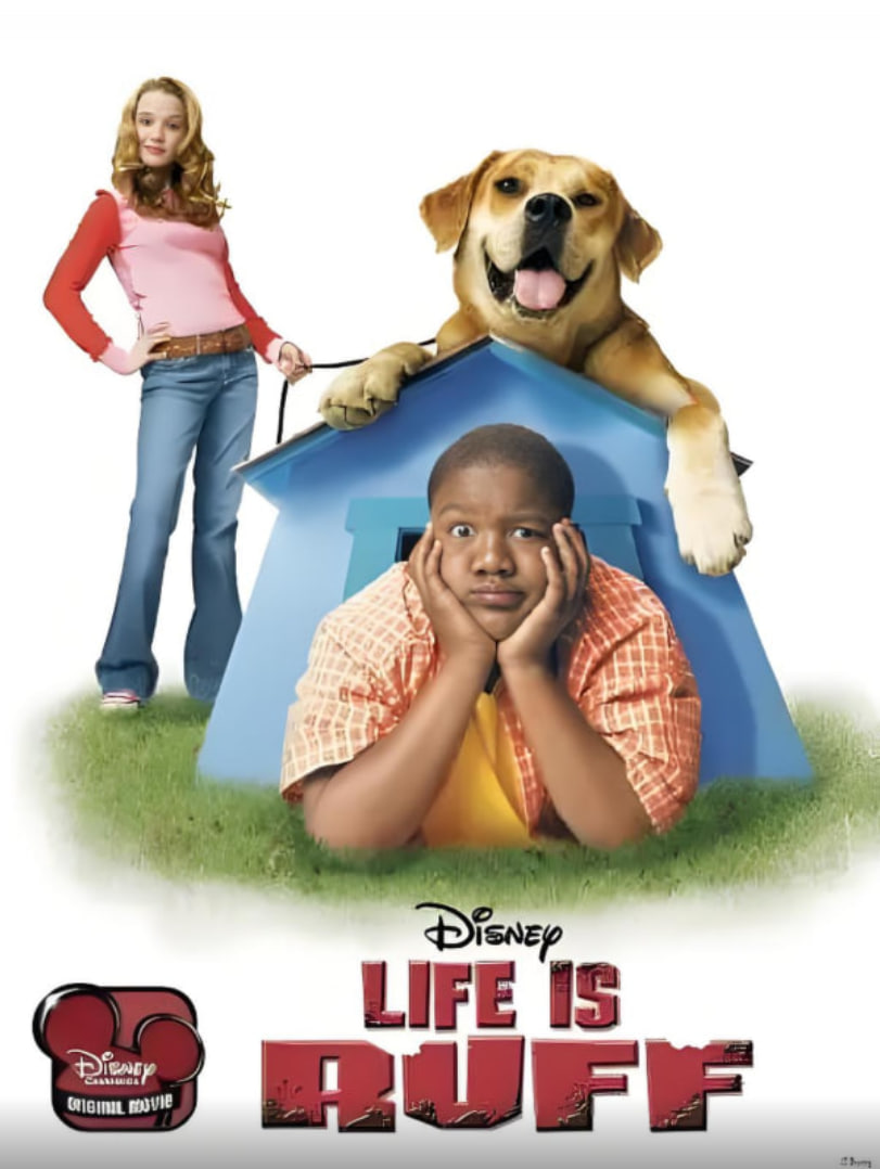 ��ű��ܵĹ�����