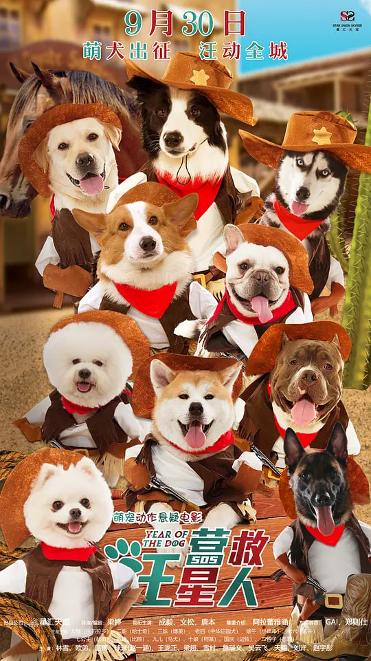 Ӫ��������