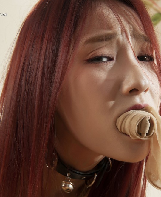 �ž�������_�����������