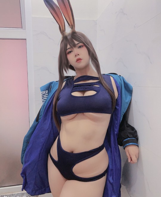 ��˵����