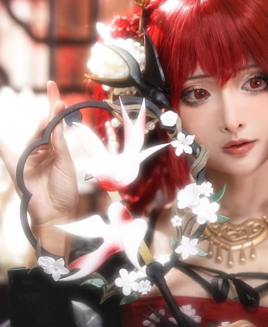 �����õ�����mv������